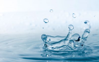 Preguntas Frecuentes sobre Agua y Purificación